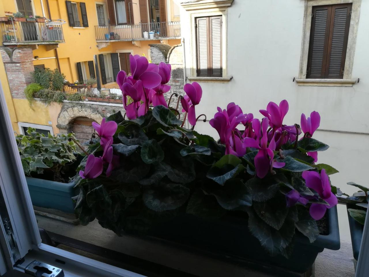 Hotel A Casa Di Luca Werona Zewnętrze zdjęcie